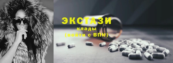 шишки Няндома