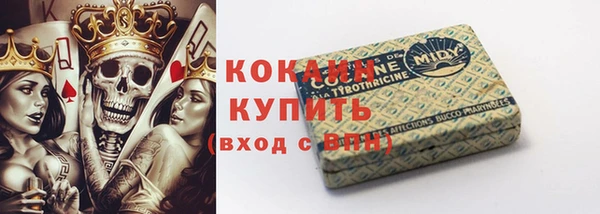 прущий лед Алзамай