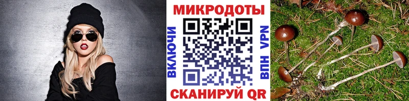 Галлюциногенные грибы Magic Shrooms Кизилюрт